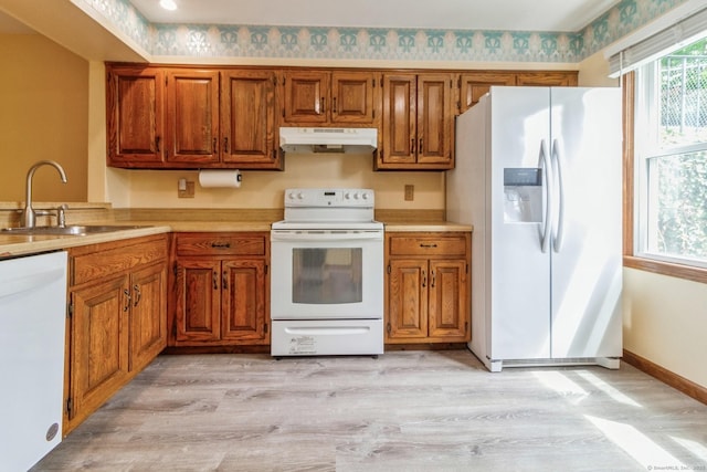55 Mill Plain Rd Unit 20-5, Danbury, CT 06811 - kitchen featuring white appliances, under cabinet range hood, a sink, and brown cabinetry