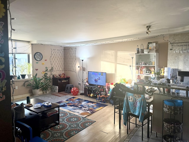 living room featuring wood-type flooring