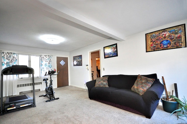 exercise area with radiator and carpet floors