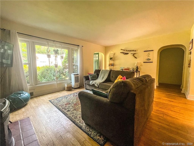 living room featuring hardwood / wood-style floors