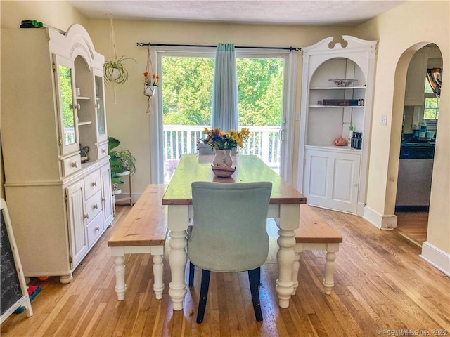 dining area with light hardwood / wood-style floors and a wealth of natural light