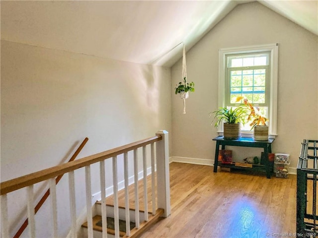 hallway with hardwood / wood-style floors and lofted ceiling