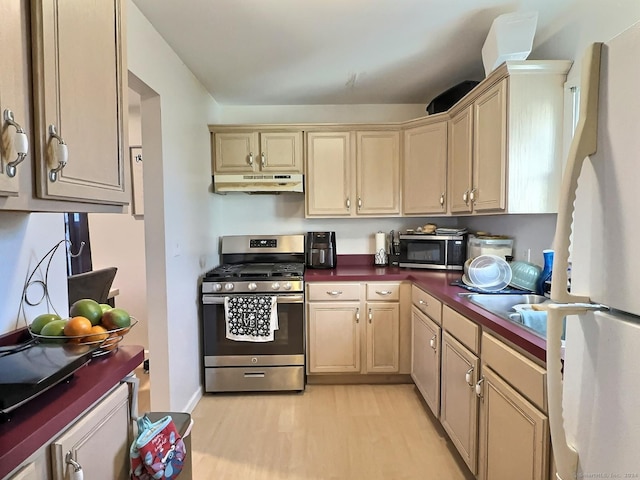 kitchen with stainless steel appliances and light wood-type flooring