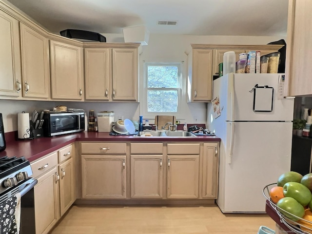 kitchen with sink, stainless steel appliances, and light hardwood / wood-style flooring