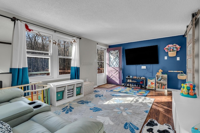 living room with a barn door, wood-type flooring, and a textured ceiling