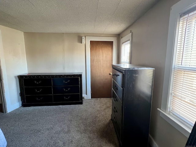 bedroom featuring carpet