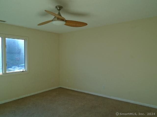 unfurnished room featuring a wealth of natural light and carpet