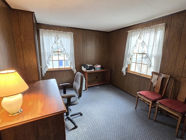 office featuring carpet flooring and wood walls