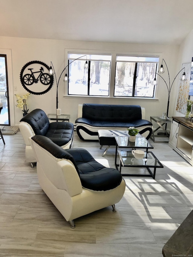 213 Ledge Dr Unit 213, Torrington, CT 06790 - living room featuring plenty of natural light