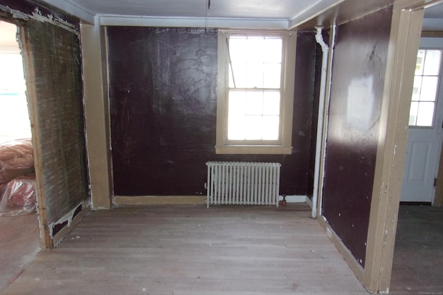 spare room featuring light wood-type flooring and radiator