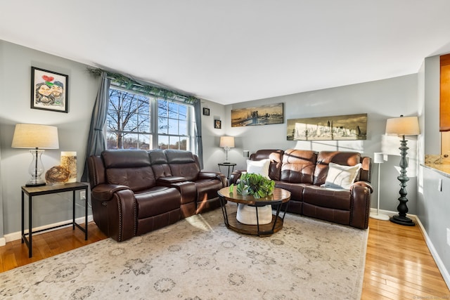 living room with hardwood / wood-style floors