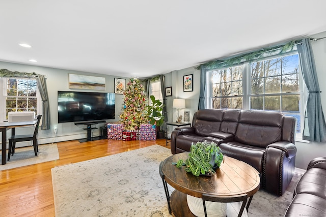 living room featuring hardwood / wood-style floors