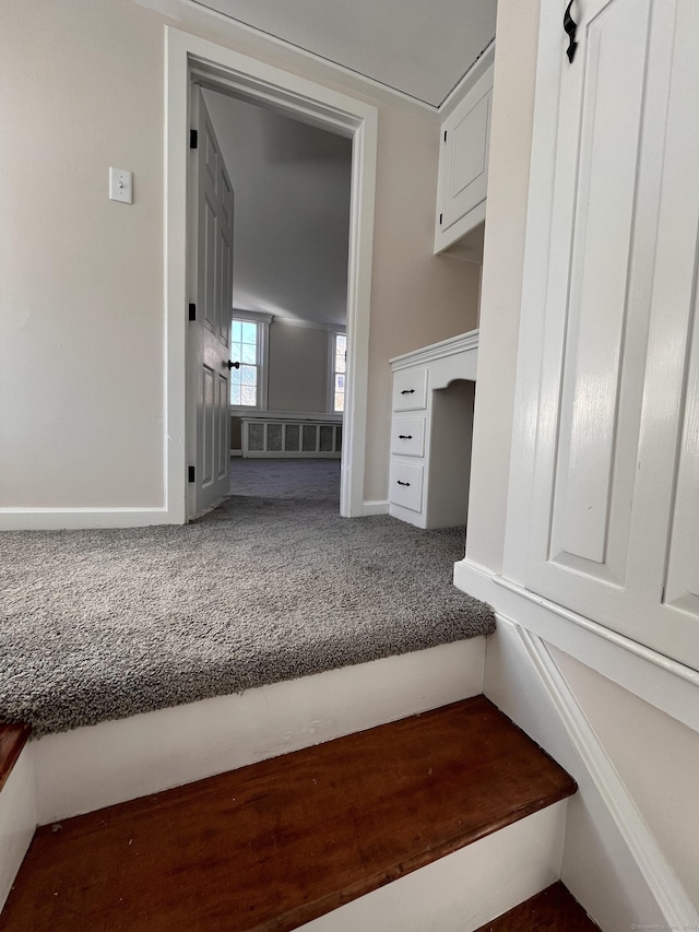 staircase with carpet