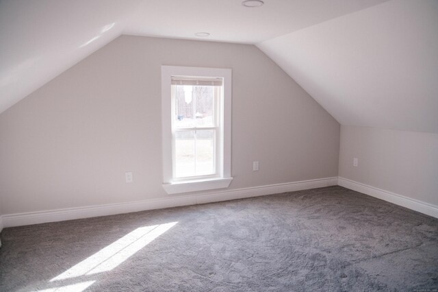 additional living space featuring carpet and vaulted ceiling