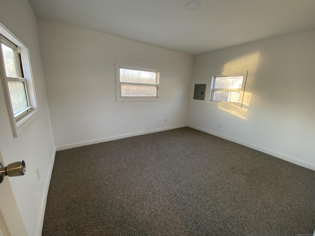 carpeted spare room with electric panel