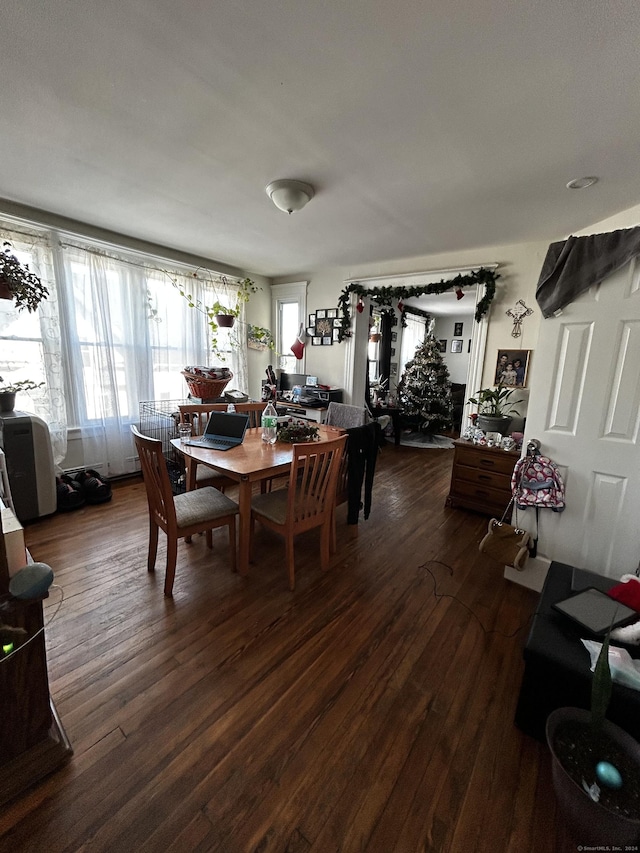 dining room featuring dark hardwood / wood-style flooring