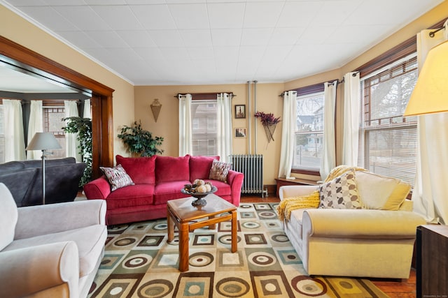 living room with radiator heating unit