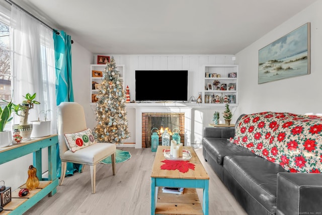 living room featuring a fireplace and wood-type flooring