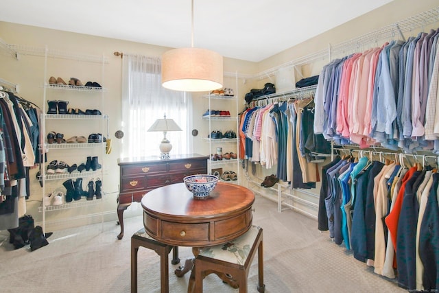 spacious closet with light carpet