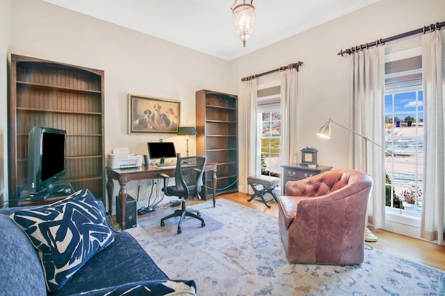 office with wood-type flooring