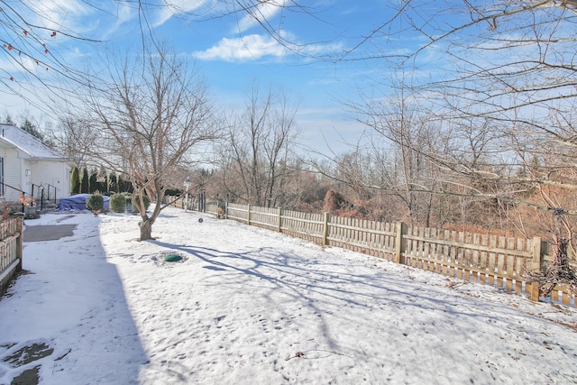 view of yard covered in snow