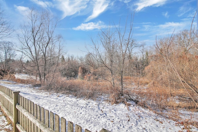 view of snowy yard