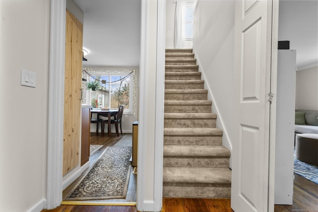 staircase with hardwood / wood-style floors