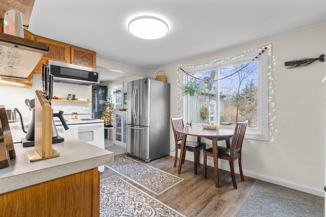 kitchen with a wealth of natural light, light hardwood / wood-style flooring, and stainless steel appliances