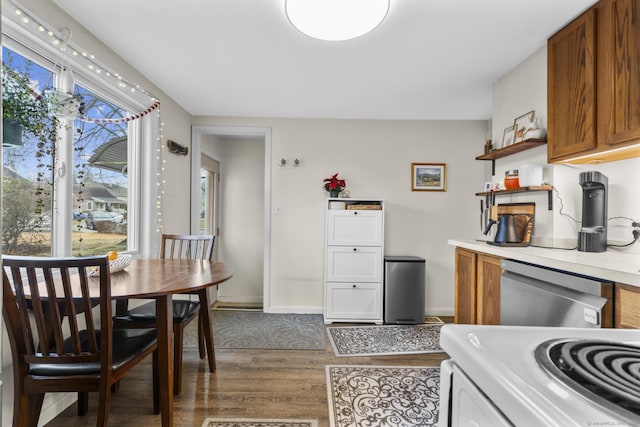 kitchen featuring stainless steel dishwasher and dark wood-type flooring