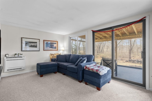 living room featuring heating unit and carpet