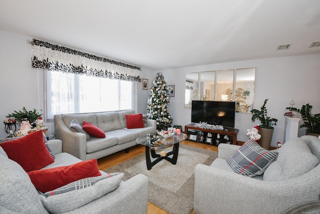 living room featuring hardwood / wood-style floors