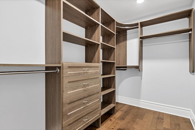 walk in closet featuring dark wood-style floors