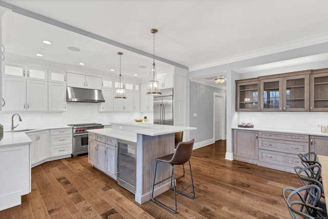 kitchen with a sink, high quality appliances, under cabinet range hood, wine cooler, and crown molding