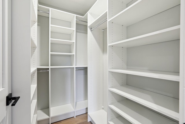 spacious closet with hardwood / wood-style floors