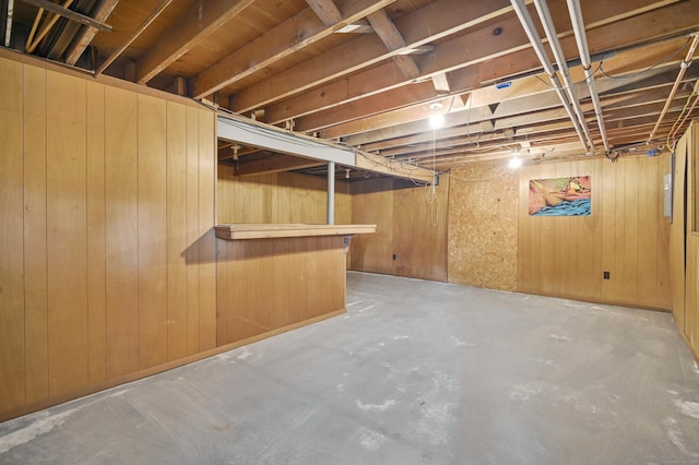 basement with wooden walls