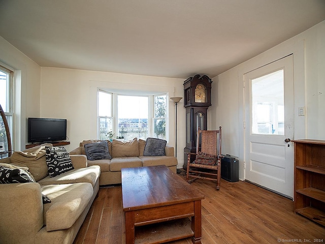 living room featuring hardwood / wood-style floors