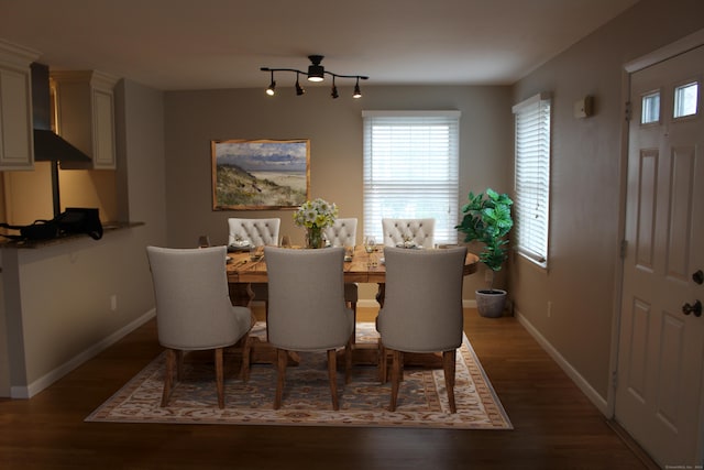 dining area featuring dark hardwood / wood-style flooring