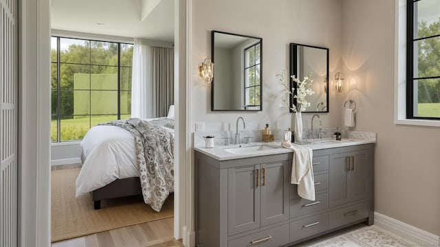 bathroom with hardwood / wood-style flooring, vanity, and a wealth of natural light