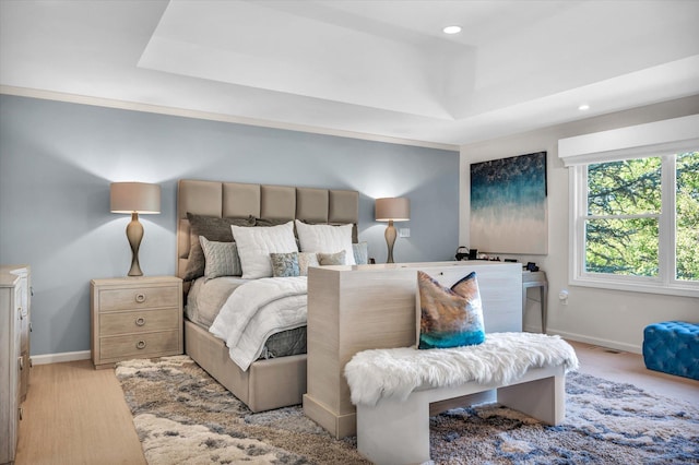 bedroom featuring a raised ceiling