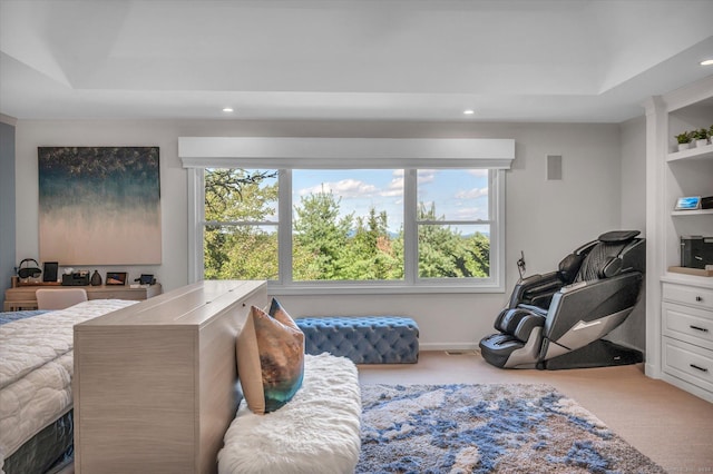 carpeted bedroom with a tray ceiling