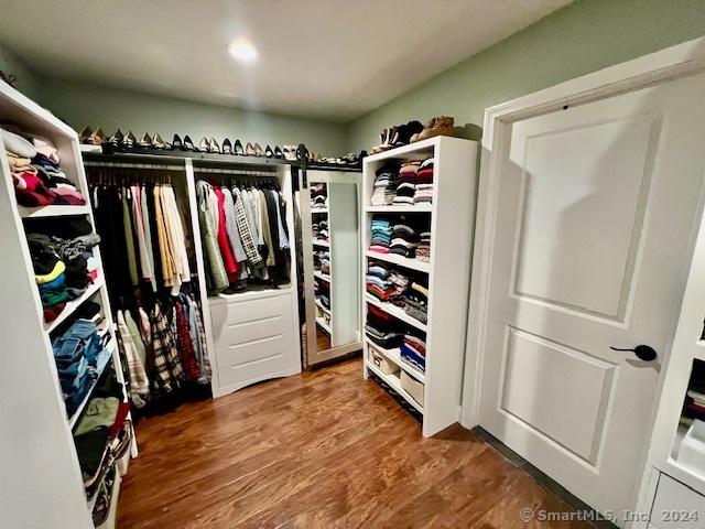 walk in closet featuring wood finished floors