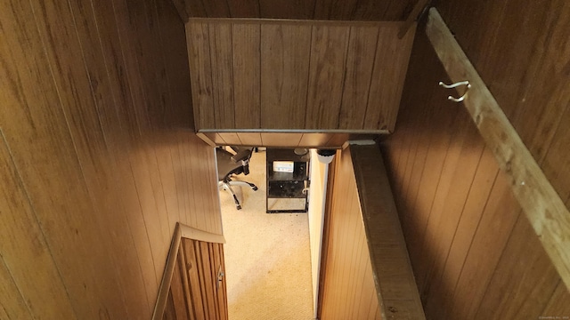 interior space with carpet and wooden walls