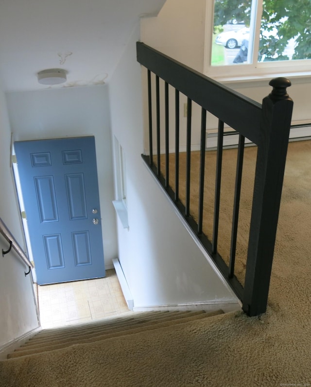 staircase with carpet flooring