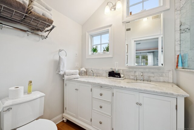 bathroom featuring vanity, toilet, and vaulted ceiling