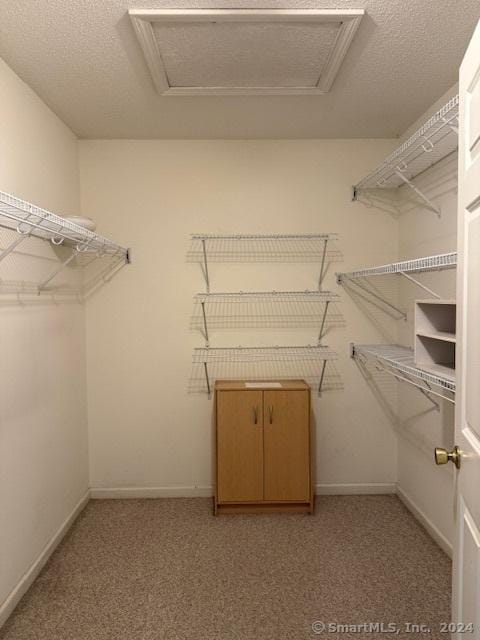 walk in closet featuring light colored carpet