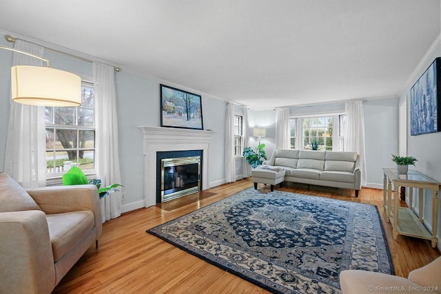 living room featuring light hardwood / wood-style floors and ornamental molding