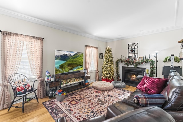 living room featuring light wood-type flooring and ornamental molding