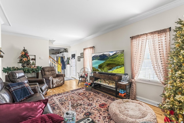 living room with hardwood / wood-style floors and ornamental molding