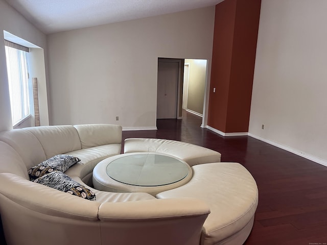 living room featuring dark hardwood / wood-style floors