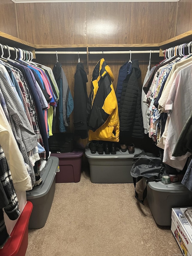 spacious closet with carpet flooring